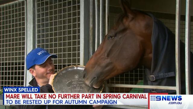 winx horse caps