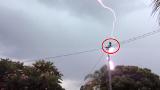 9RAW: Bird lucky to be alive after lightning strikes telephone lines