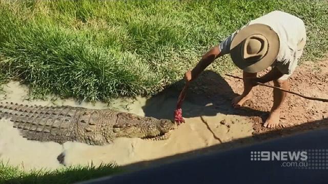 Barefoot Bushman ‘recovering well’ after croc attack in Queensland